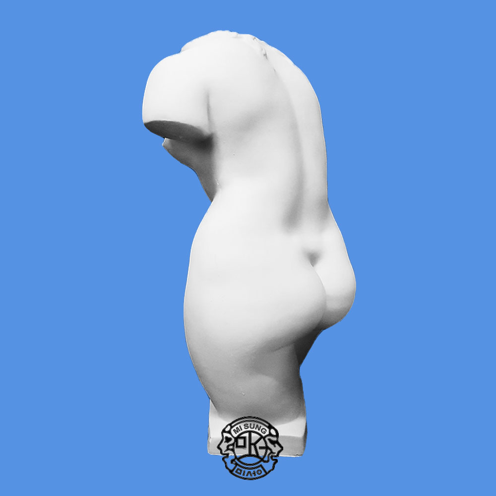 토르소(大)
