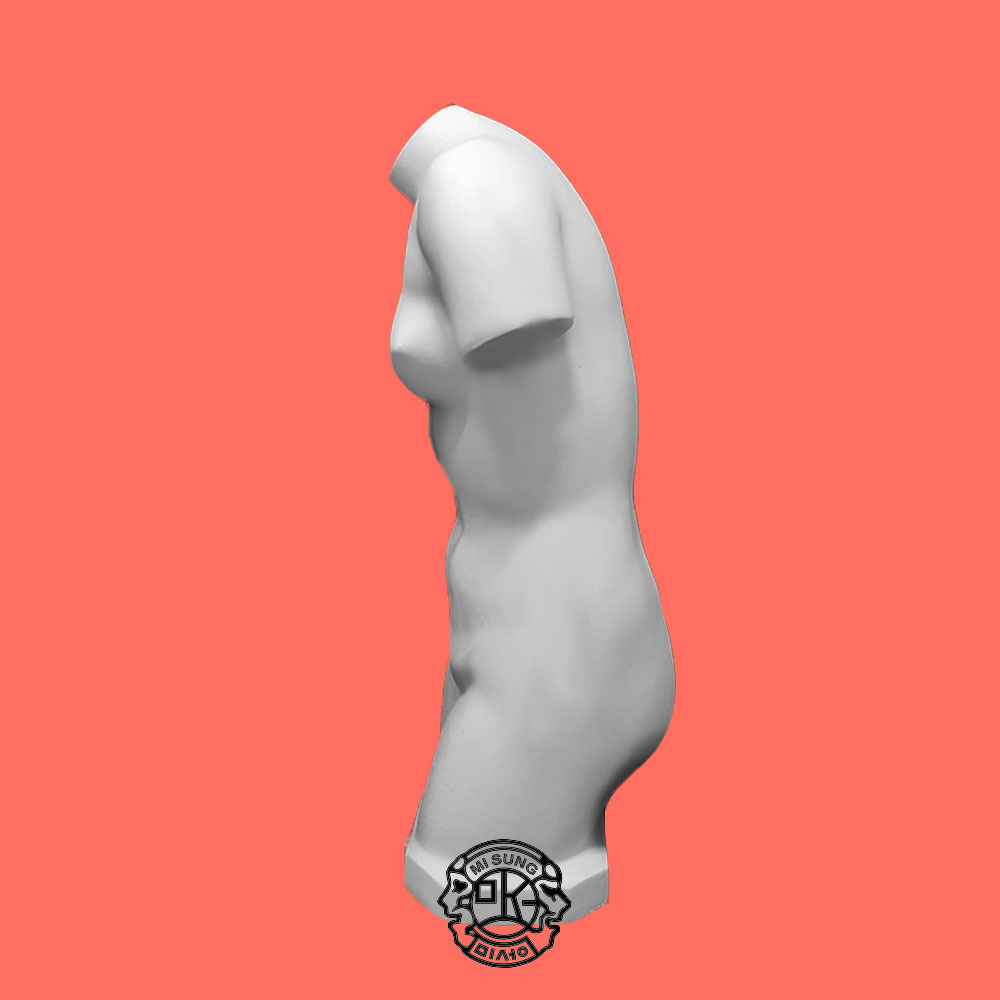 토르소